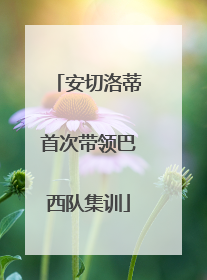 安切洛蒂首次带领巴西队集训