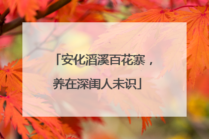 安化滔溪百花寨，养在深闺人未识