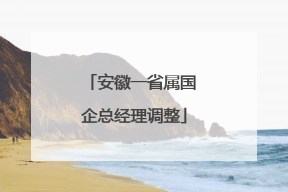 安徽一省属国企总经理调整