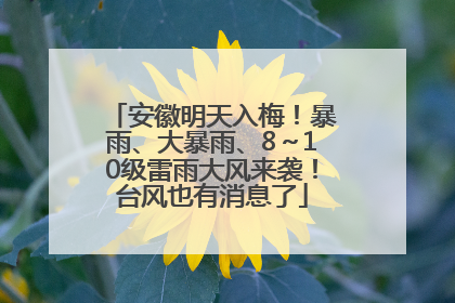 安徽明天入梅！暴雨、大暴雨、8～10级雷雨大风来袭！台风也有消息了