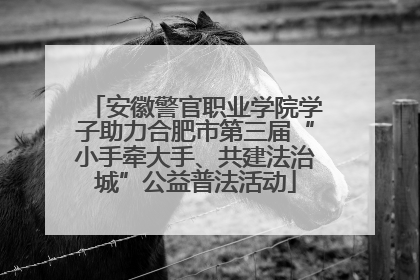 安徽警官职业学院学子助力合肥市第三届“小手牵大手、共建法治城”公益普法活动