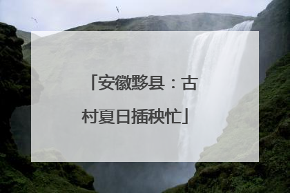 安徽黟县：古村夏日插秧忙