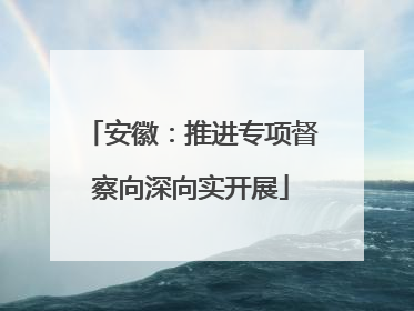 安徽：推进专项督察向深向实开展