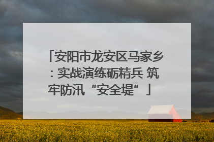 安阳市龙安区马家乡：实战演练砺精兵 筑牢防汛“安全堤”