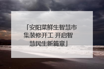 安阳菜鲜生智慧市集装修开工 开启智慧民生新篇章
