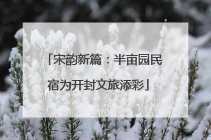 宋韵新篇：半亩园民宿为开封文旅添彩