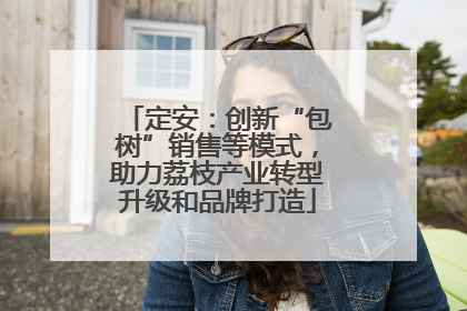 定安：创新“包树”销售等模式，助力荔枝产业转型升级和品牌打造