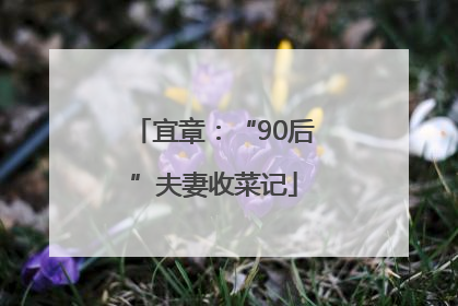 宜章：“90后”夫妻收菜记