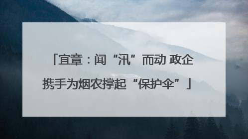 宜章：闻“汛”而动 政企携手为烟农撑起“保护伞”