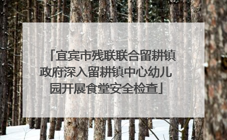 宜宾市残联联合留耕镇政府深入留耕镇中心幼儿园开展食堂安全检查