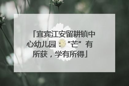 宜宾江安留耕镇中心幼儿园：“芒”有所获，学有所得