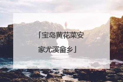 宝岛黄花菜安家尤溪畲乡