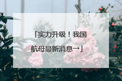 实力升级！我国航母最新消息→