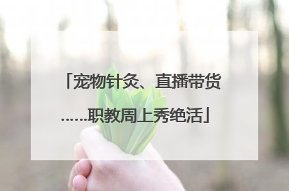 宠物针灸、直播带货……职教周上秀绝活