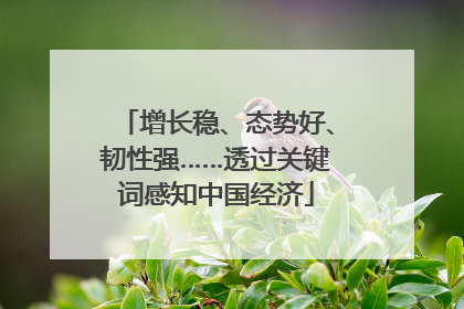 增长稳、态势好、韧性强……透过关键词感知中国经济