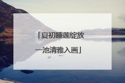 夏初睡莲绽放 一池清雅入画
