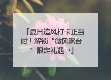 夏日追风打卡正当时！解锁“微风露台”限定礼遇→