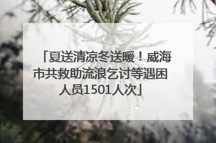 夏送清凉冬送暖！威海市共救助流浪乞讨等遇困人员1501人次