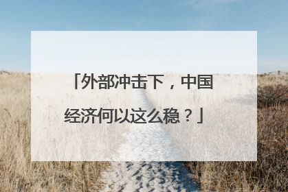 外部冲击下，中国经济何以这么稳？