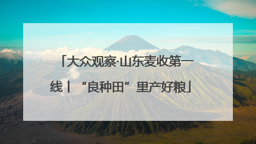 大众观察·山东麦收第一线丨“良种田”里产好粮