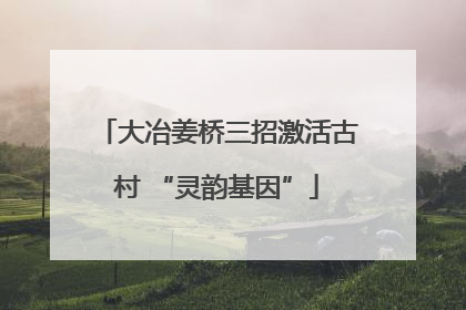 大冶姜桥三招激活古村 “灵韵基因”