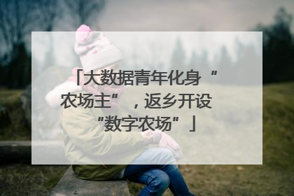 大数据青年化身“农场主”，返乡开设“数字农场”