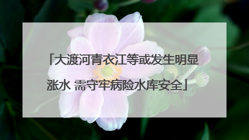 大渡河青衣江等或发生明显涨水 需守牢病险水库安全