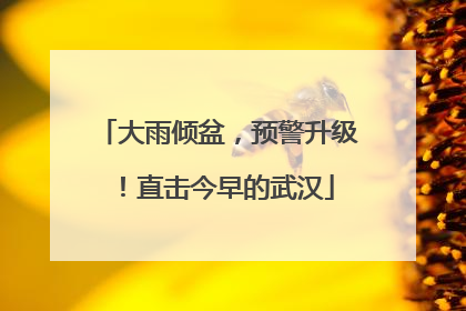 大雨倾盆，预警升级！直击今早的武汉