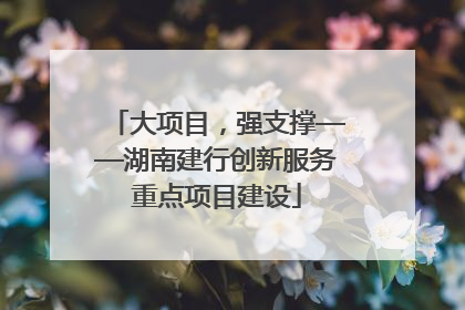 大项目，强支撑——湖南建行创新服务重点项目建设