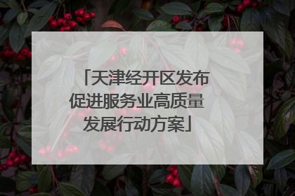 天津经开区发布促进服务业高质量发展行动方案