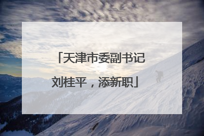 天津市委副书记刘桂平，添新职