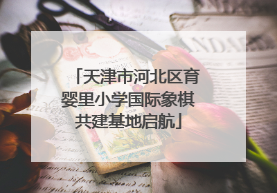 天津市河北区育婴里小学国际象棋共建基地启航