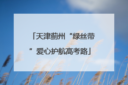 天津蓟州“绿丝带”爱心护航高考路