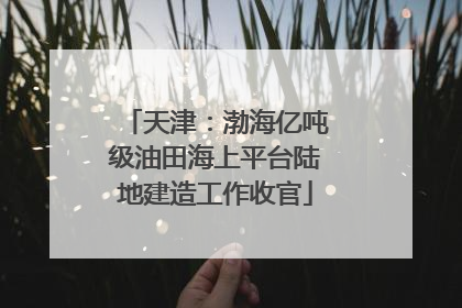 天津：渤海亿吨级油田海上平台陆地建造工作收官