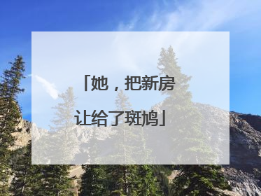 她，把新房让给了斑鸠
