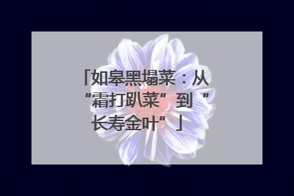 如皋黑塌菜：从“霜打趴菜”到“长寿金叶”