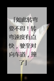 如此转弯要不得！转弯速度有点快，驶至对向车道，撞了