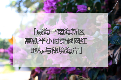 威海→南海新区 高铁半小时穿越网红地标与秘境海岸