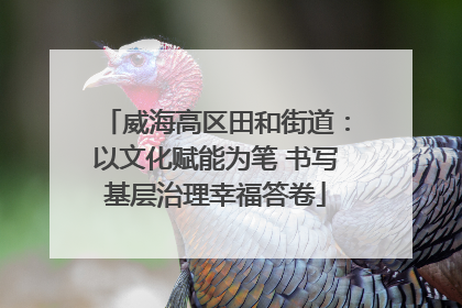 威海高区田和街道：以文化赋能为笔 书写基层治理幸福答卷