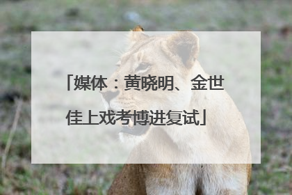 媒体：黄晓明、金世佳上戏考博进复试