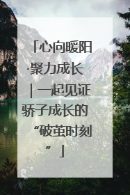 心向暖阳·聚力成长｜一起见证骄子成长的“破茧时刻”