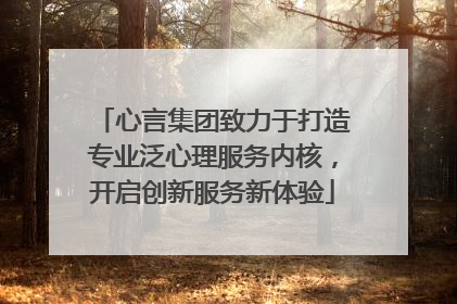 心言集团致力于打造专业泛心理服务内核，开启创新服务新体验