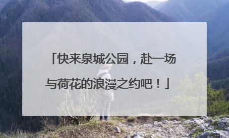 快来泉城公园，赴一场与荷花的浪漫之约吧！