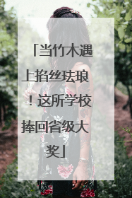 当竹木遇上掐丝珐琅！这所学校捧回省级大奖