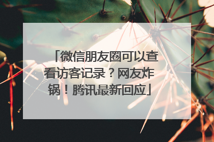 微信朋友圈可以查看访客记录？网友炸锅！腾讯最新回应