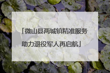 微山县两城镇精准服务助力退役军人再启航
