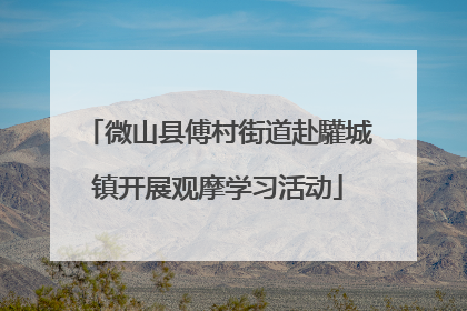 微山县傅村街道赴驩城镇开展观摩学习活动