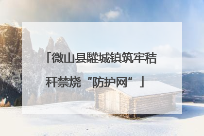 微山县驩城镇筑牢秸秆禁烧“防护网”
