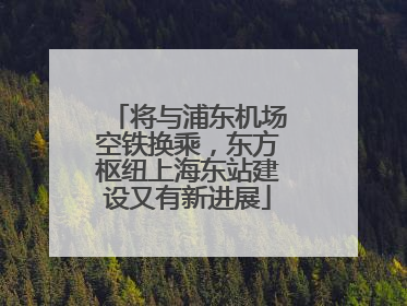 将与浦东机场空铁换乘，东方枢纽上海东站建设又有新进展