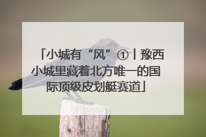 小城有“风”①丨豫西小城里藏着北方唯一的国际顶级皮划艇赛道